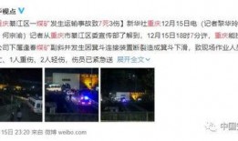 重庆贾先生最新爆料事件,揭秘事件背后惊人真相